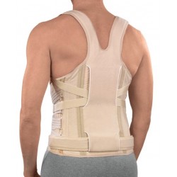 ΝΑΡΘΗΚΑΣ ΚΟΡΜΟΥ ΜΕ ΥΦΑΣΜΑ "TAYLOR II" 2709 Ortholand