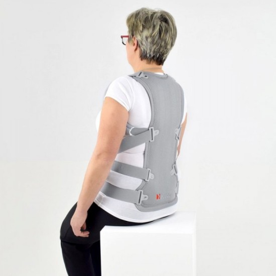 ΝΑΡΘΗΚΑΣ ΚΟΡΜΟΥ ΟΣΤΕΟΠΟΡΩΣΗΣ "STRADA" 04-2-022 Vita Orthopaedics ΝΑΡΘΗΚΑΣ ΚΟΡΜΟΥ ΟΣΤΕΟΠΟΡΩΣΗΣ "STRADA" 04-2-022 Vita Orthopaedics